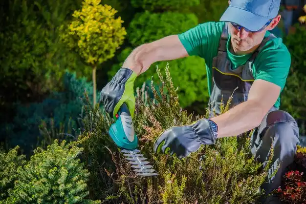 landscaping services Thiells